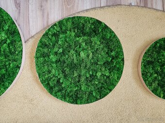 Predám machové obrazy Ø 30cm + Ø 40cm + Ø 50cm - 2