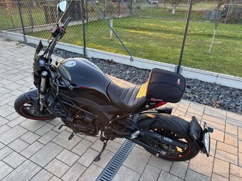 Benelli 502c rok 2024 - 2