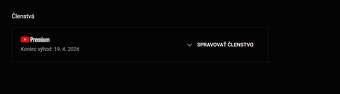 YouTube PREMIUM 12 M - 2