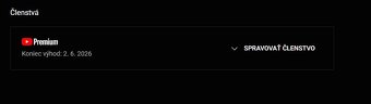 YouTube PREMIUM 12 M - 2