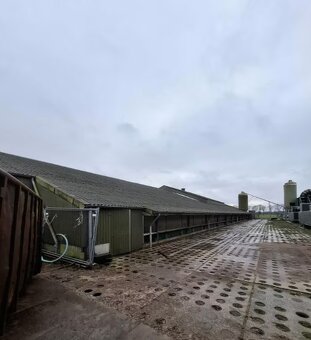 demontovana hala - 2