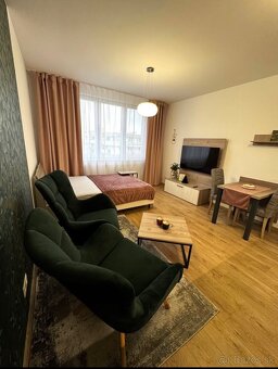 Krasna garzonka na prenajom - 2