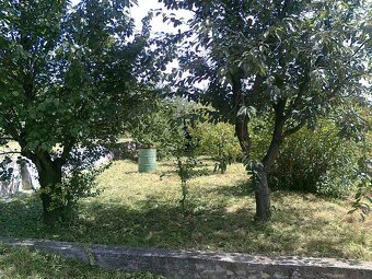 Záhradka s drevenou chatkou - 2