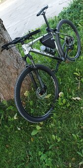 CTM Rascal 1.0 2023 - 2