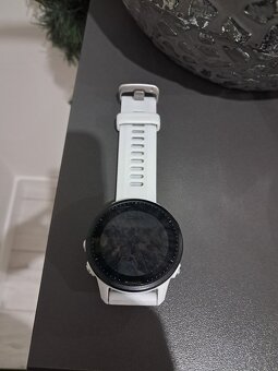 garmin Forerunner 955 - 2