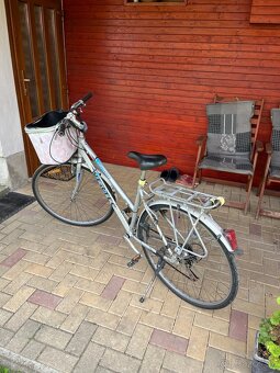 Bicykel Vertec - dámsky - 2