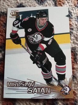 Hokejove kartičky Slovakov NHL - 2