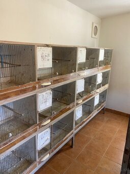 Andulky ,drobotina ,chovne boxy - 2