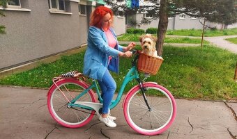 Retro bicykel - 2