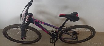 Dema Roxie 260 - 2