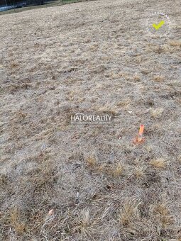 HALO reality - Predaj, rekreačný pozemok Nálepkovo, Zahájnic - 2