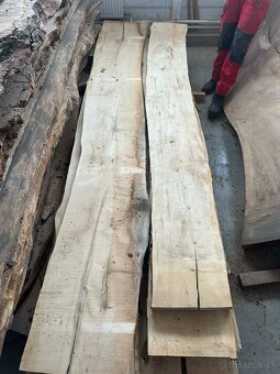 Vysušené javorové fošne, javor horský - 2