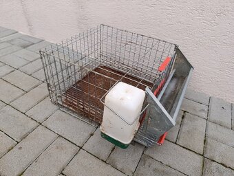 Klietky pre prepelice - 2