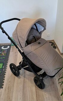 Kočik Royal Jewel - 2