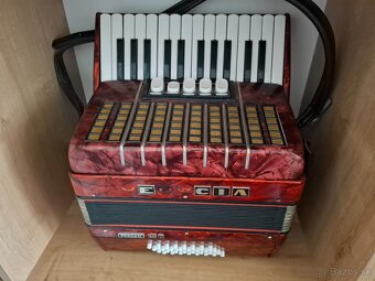 Akordeon DELICIA JUNIOR XII,32 basovy - 2