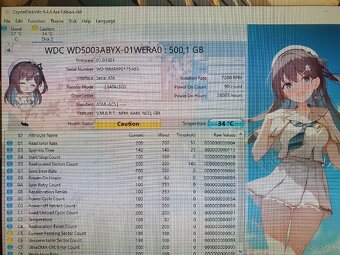 Enterprise disky Western Digital 500 GB - 2