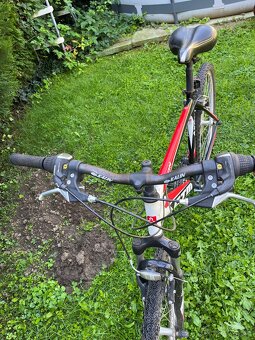 Bicykel Ctm - 2