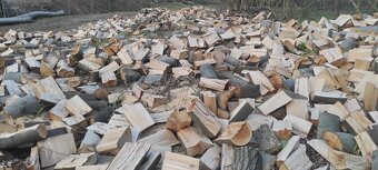 Palivové drevo voľné ložené tvrdé TT, BA, NR, TN, SI, SE, HC - 2