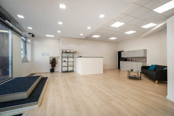 Moderný obchodný priestor v Starom Meste v Bratislave - 2