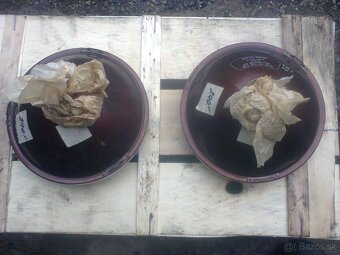 nepoužite - svetla,paraboly - 2