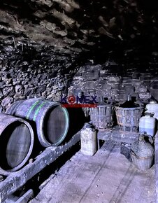 Vínny domček s krásnou vinicou – obec Viničky - 2