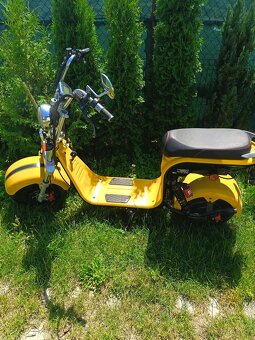 Elektro chopper - 2