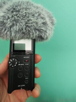 Tascam DR-22WL+Tascam Ws-11 - 2