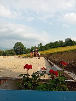 Ustajnenie ​🌿 Doprajte svojmu koňovi domov v srdci prírody - 2