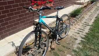Kellys Saphix CRX Cross - 2