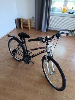 Predam bicykle - 2