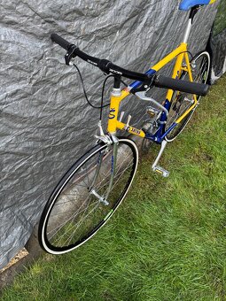 Favorit-Satka-Urban bike - 2