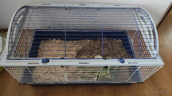Klietka pre morcata - 2