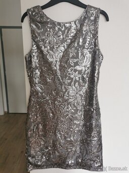 Strieborné šaty - 2