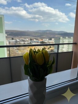 Prenájom 1-izbového bytu v Žiari nad Hronom, časť Etapa - 2