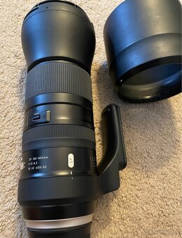 Tamron SP 150-600mm G2 F/ pro Canon - 2