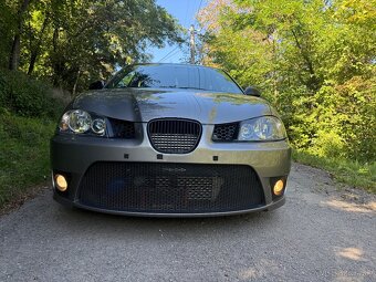 Seat Ibiza Cupra - 2