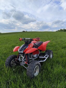 Honda TRX 400 - 2