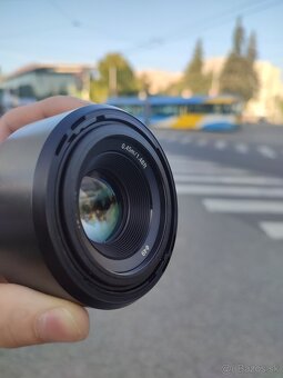 sony 50 1.8 Sony 50mm f1.8 - 2