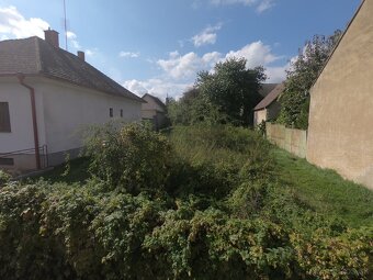 Rizikovy vyrub stromov,cistenie pozemkov - 2