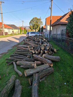 Palivove drevo - 2