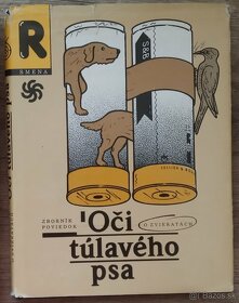 Ela zlatovláska, Oči túlavého psa a ine - 2
