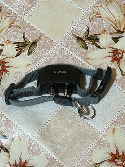 El. Obojok pre psy - 2