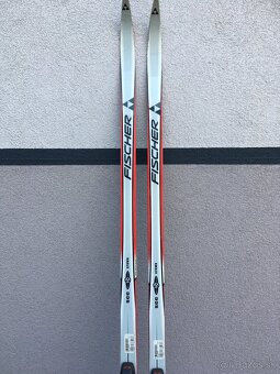 Bezky Fischer SCC - 2