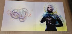 Björk - Vulnicura (LP, Vinyl, Platňa) - 2