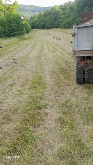 predam seno a slamu - 2