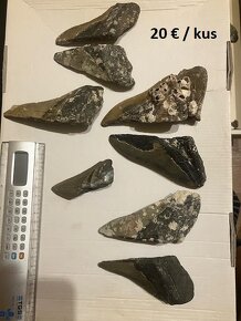 Fosílie , skameneliny , zuby , meteorit - 2