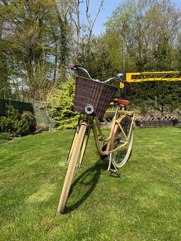 Damsky mestsky bicykel - 2