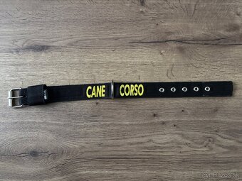 Obojok pre štena cane corso - 2