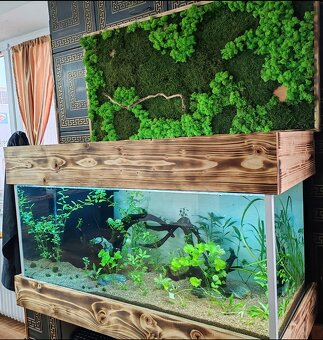 ‼️Akvarium 300l 120x50x50‼️ - 2