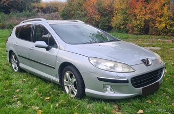 Peugeot 407sw - 2